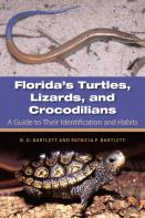 Florida'S Turtles, Lizards, And Crocodilians