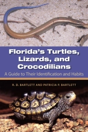 Florida'S Turtles, Lizards, And Crocodilians