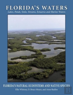 Bertrand.pt - Florida'S Waters