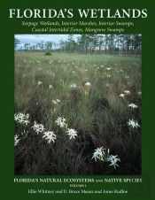 Florida'S Wetlands