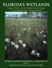 Florida'S Wetlands