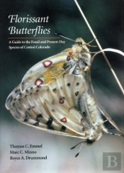Florissant Butterflies