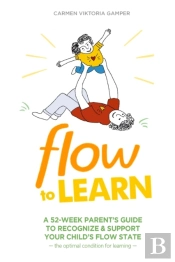 Flow To Learn