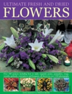 Bertrand.pt - Flower Arranging