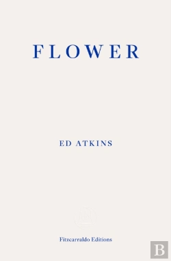 Bertrand.pt - Flower