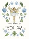 Flower Fairies Of The Winter