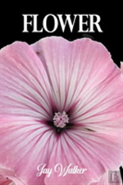 Bertrand.pt - Flower