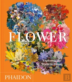 Bertrand.pt - Flower