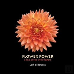 Bertrand.pt - Flower Power