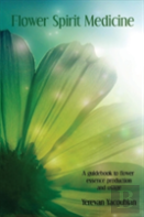Flower Spirit Medicine: A Guidebook To Flower Essence Production And Usage