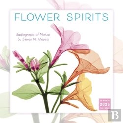 Bertrand.pt - Flower Spirits