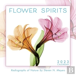 Bertrand.pt - Flower Spirits