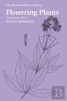 Flowering Plants: Asteraceae