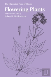 Flowering Plants: Asteraceae