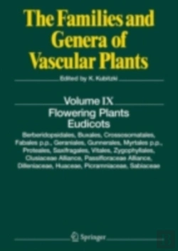 Bertrand.pt - Flowering Plants. Eudicots