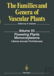 Flowering Plants. Monocotyledons