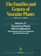 Flowering Plants. Monocotyledons