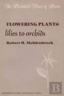 Flowering Plants