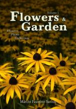 Flowers And Garden
