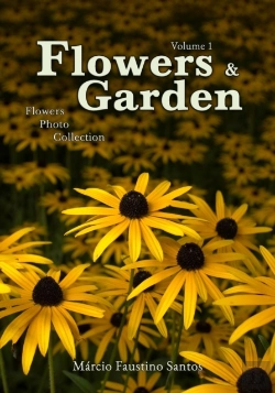 Bertrand.pt - Flowers And Garden