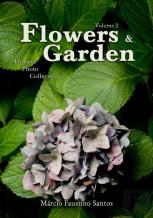 Flowers And Garden
