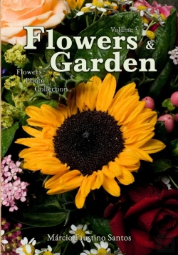 Bertrand.pt - Flowers And Garden