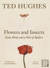 Flowers And Insects, Some Birds And A Pair Of Spiders