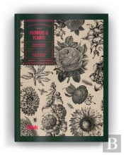 Flowers And Plants