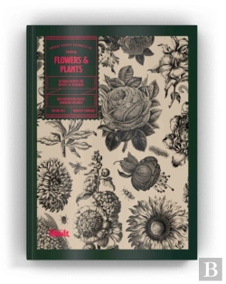 Bertrand.pt - Flowers And Plants