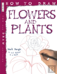 Flowers And Plants