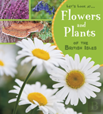 Flowers And Plants Of The British Isles