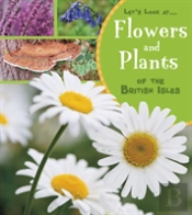 Flowers And Plants Of The British Isles