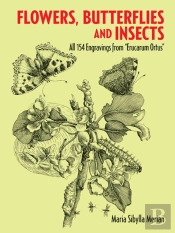 Flowers, Butterflies And Insects