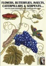 Flowers, Butterflies, Insects, Caterpillars & Serpents...