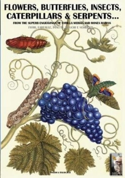 Bertrand.pt - Flowers, Butterflies, Insects, Caterpillars & Serpents...