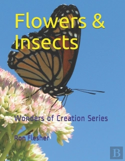 Bertrand.pt - Flowers & Insects
