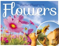 Bertrand.pt - Flowers