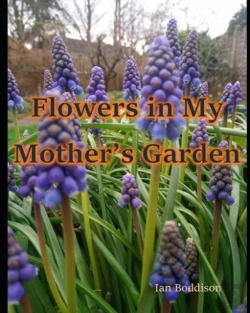 Bertrand.pt - Flowers In My Mother'S Garden