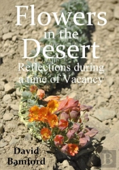 Flowers In The Desert:  Reflections During A Time Of Vacancy