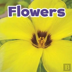 Bertrand.pt - Flowers