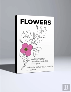 Bertrand.pt - Flowers