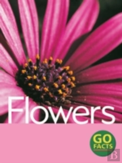 Bertrand.pt - Flowers