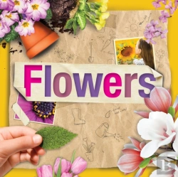 Bertrand.pt - Flowers