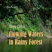 Flowing Waters In Rainy Forest