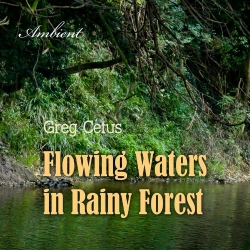 Bertrand.pt - Flowing Waters In Rainy Forest