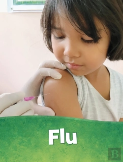 Bertrand.pt - Flu