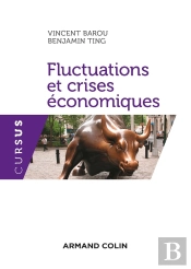 Fluctuations Et Crises Économiques