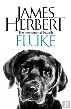 Bertrand.pt - Fluke