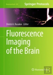Fluorescence Imaging Of The Brain