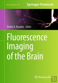 Bertrand.pt - Fluorescence Imaging Of The Brain